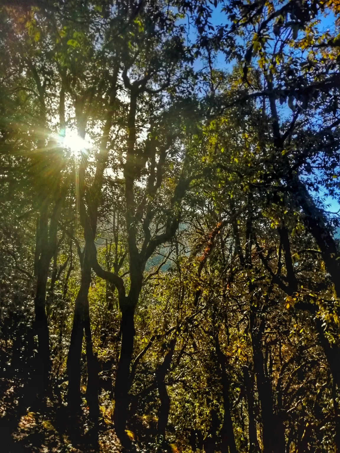 Photo of Nag Tibba By NISHKARSH SINGH