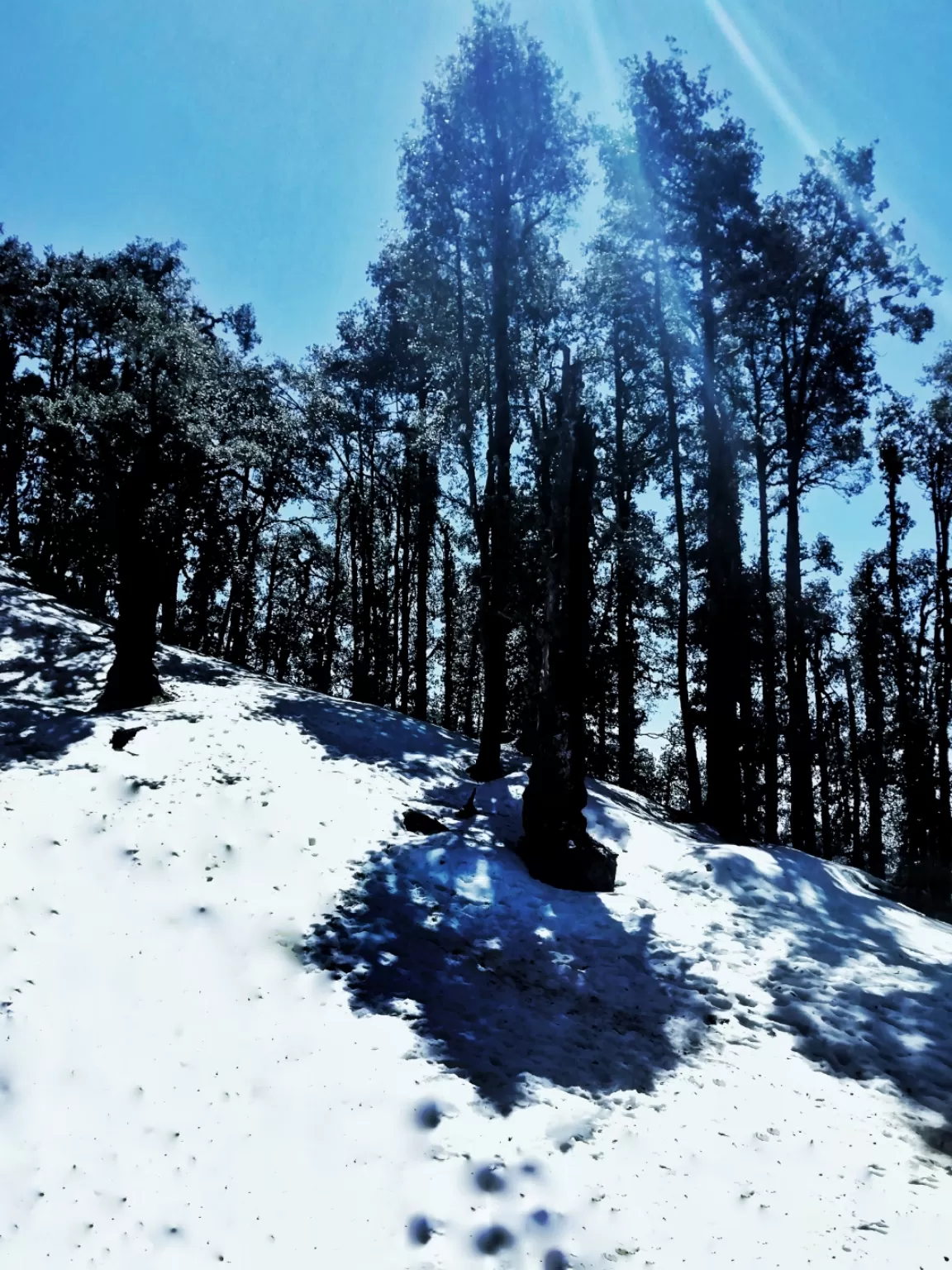 Photo of Nag Tibba By NISHKARSH SINGH