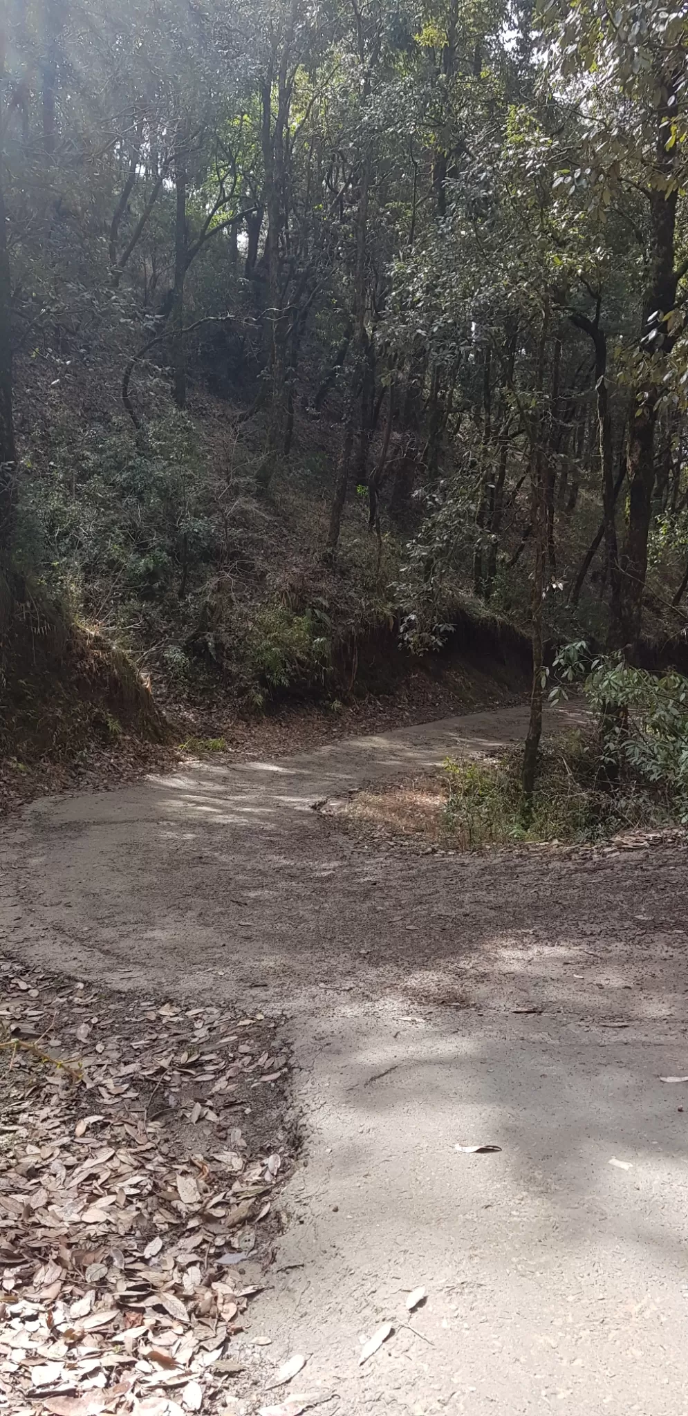 Photo of Chail By NITISH BUDHIRAJA