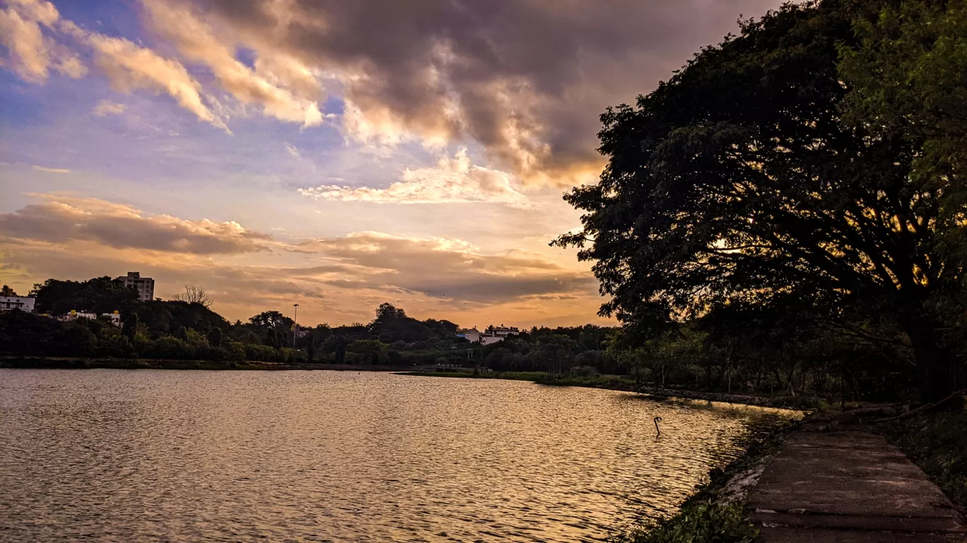 Photo of Jinke park By Sangeetha shetty