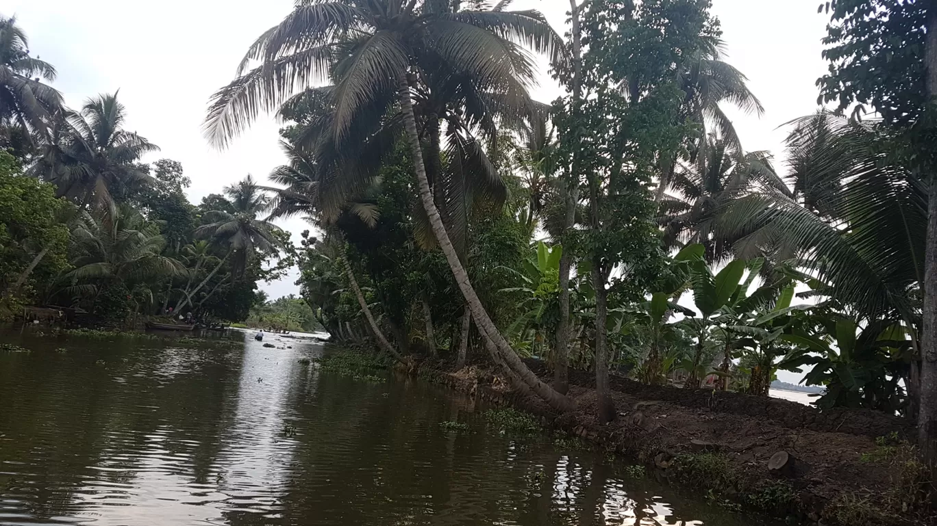 Photo of Alleppey Boat House By Sharmistha Dey