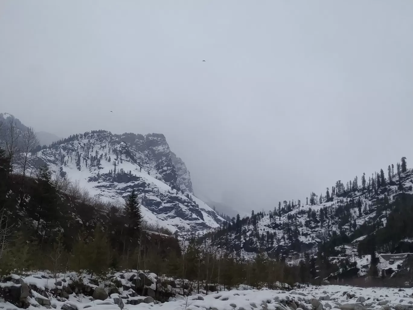 Photo of Manali By Neha Desai