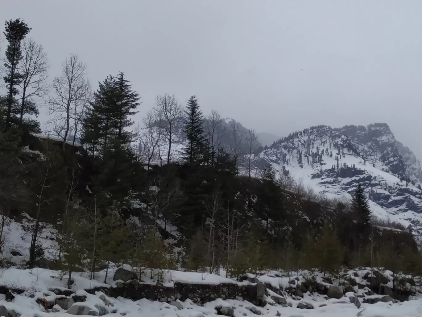 Photo of Manali By Neha Desai