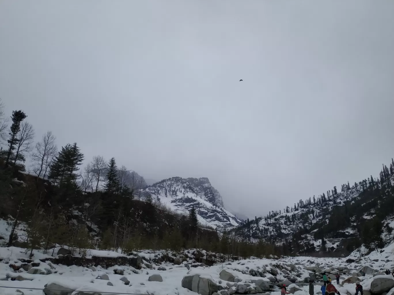 Photo of Manali By Neha Desai