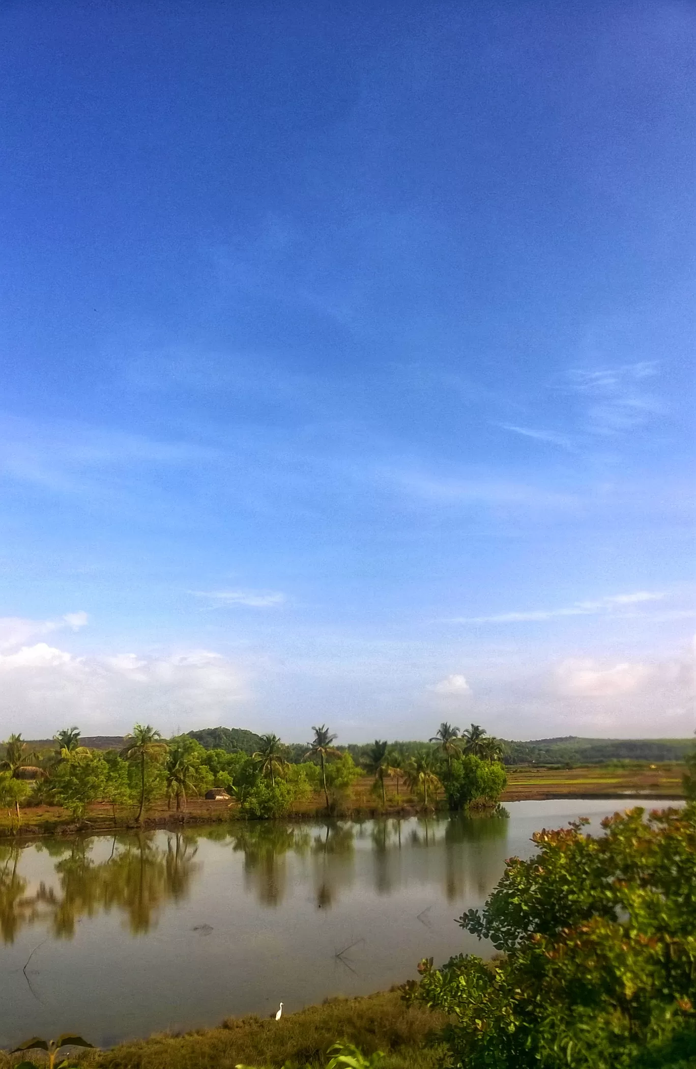 Photo of India By Ashish
