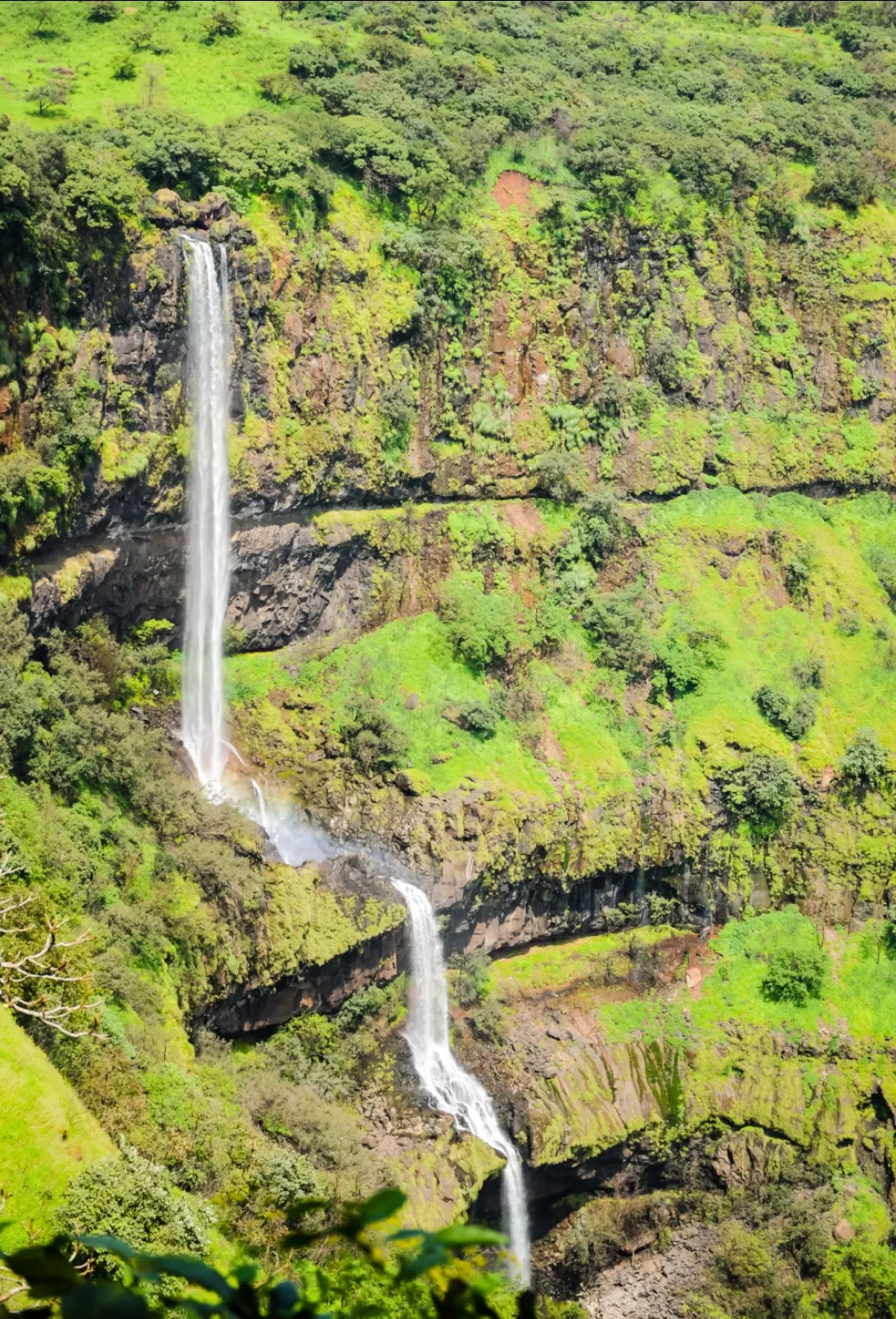 Photo of Vajrai Waterfall Kas By Ashish