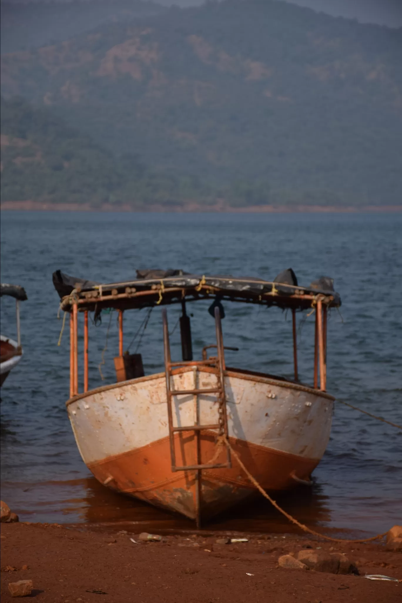 Photo of Koyna Wildlife Sanctuary By Ashish