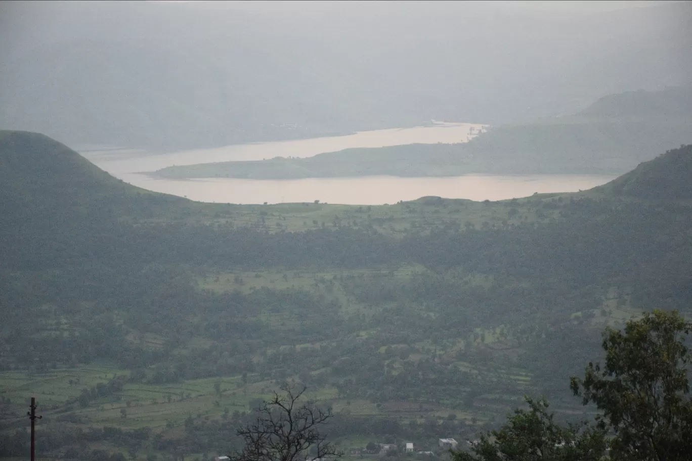 Photo of Kas Plateau ( Valley Of Flowers ) By Ashish
