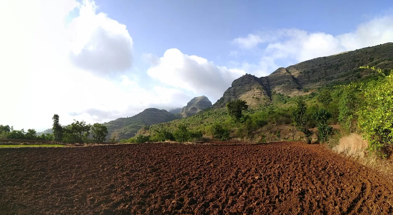 Photo of Kalsubai Peak By Ashish