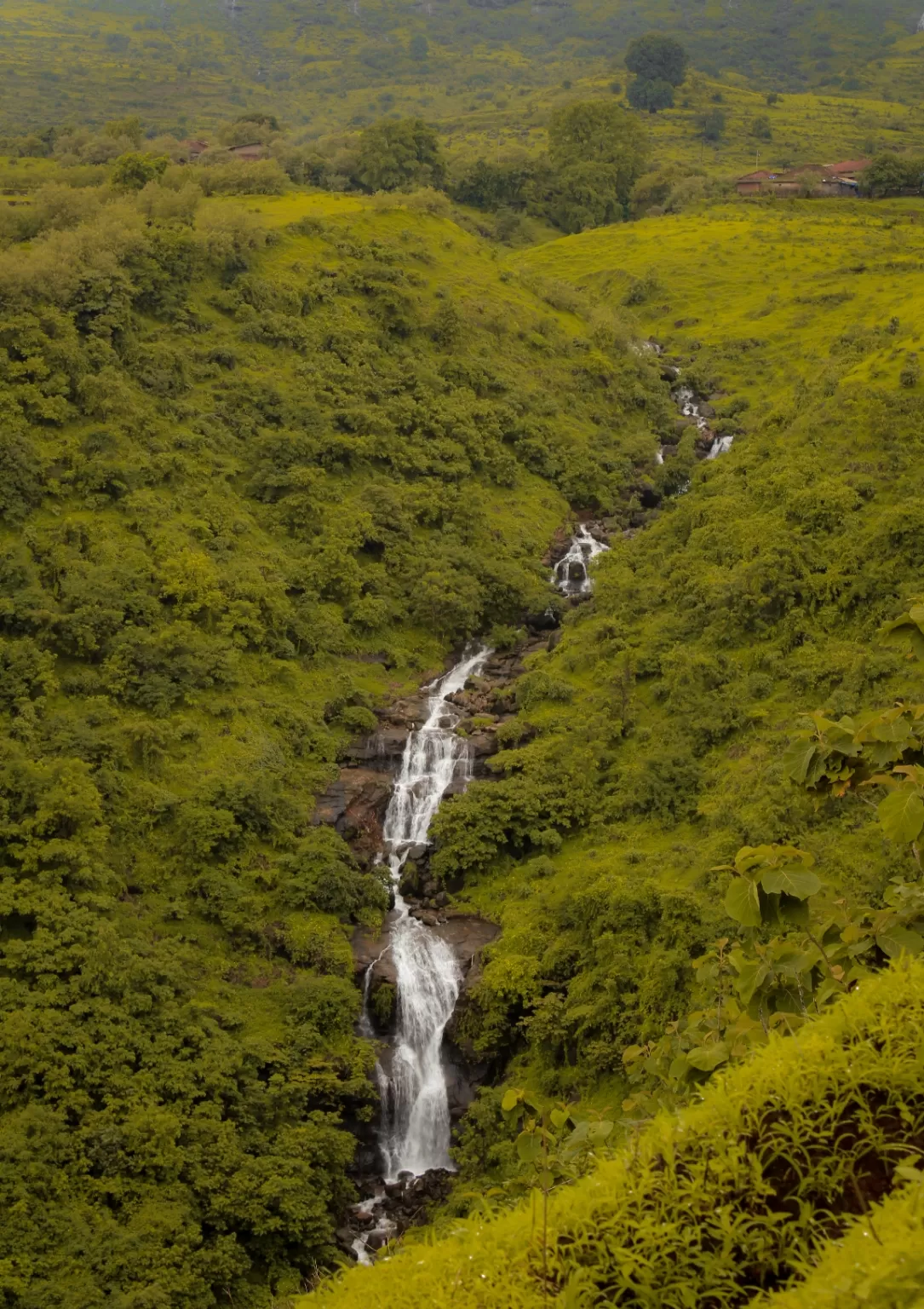 Photo of Sahyadri Mountains By Ashish