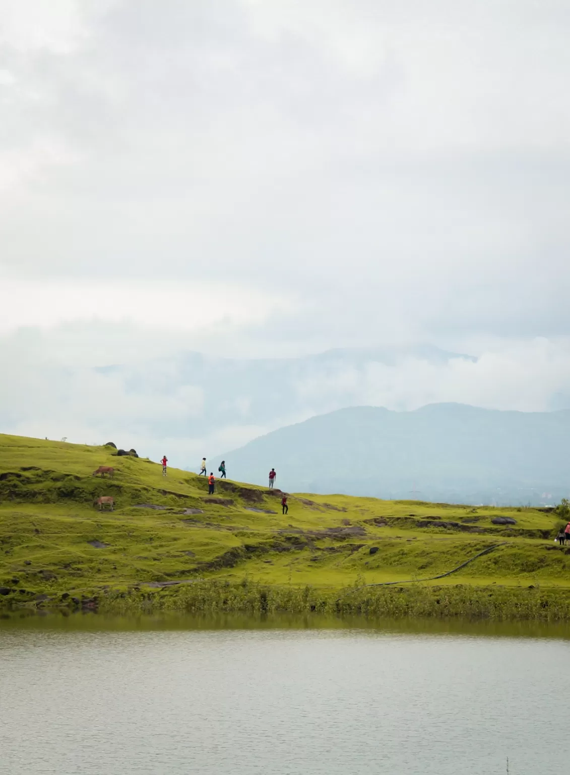 Photo of Sahyadri Mountains By Ashish