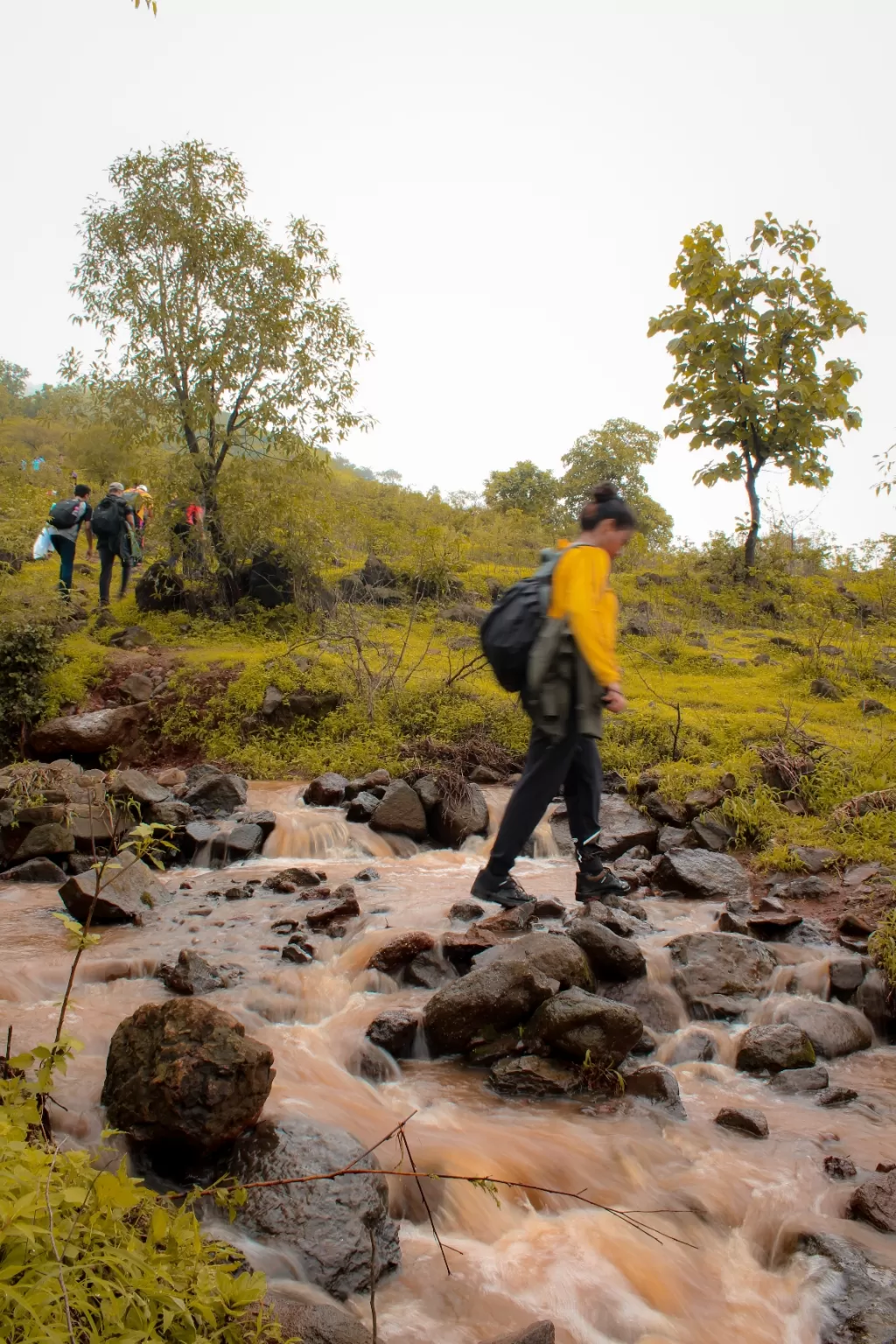 Photo of Sahyadri Mountains By Ashish