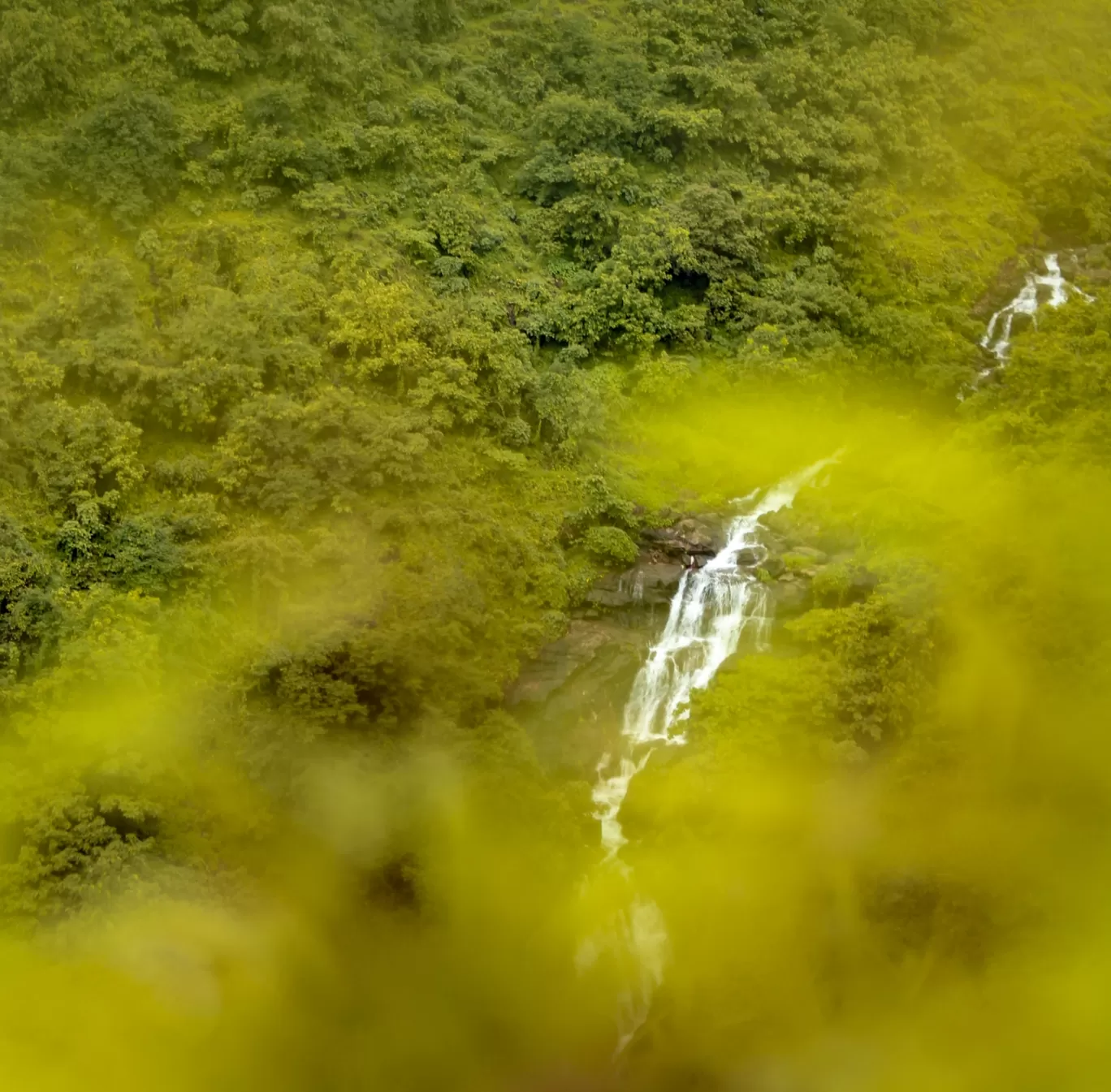 Photo of Sahyadri Mountains By Ashish
