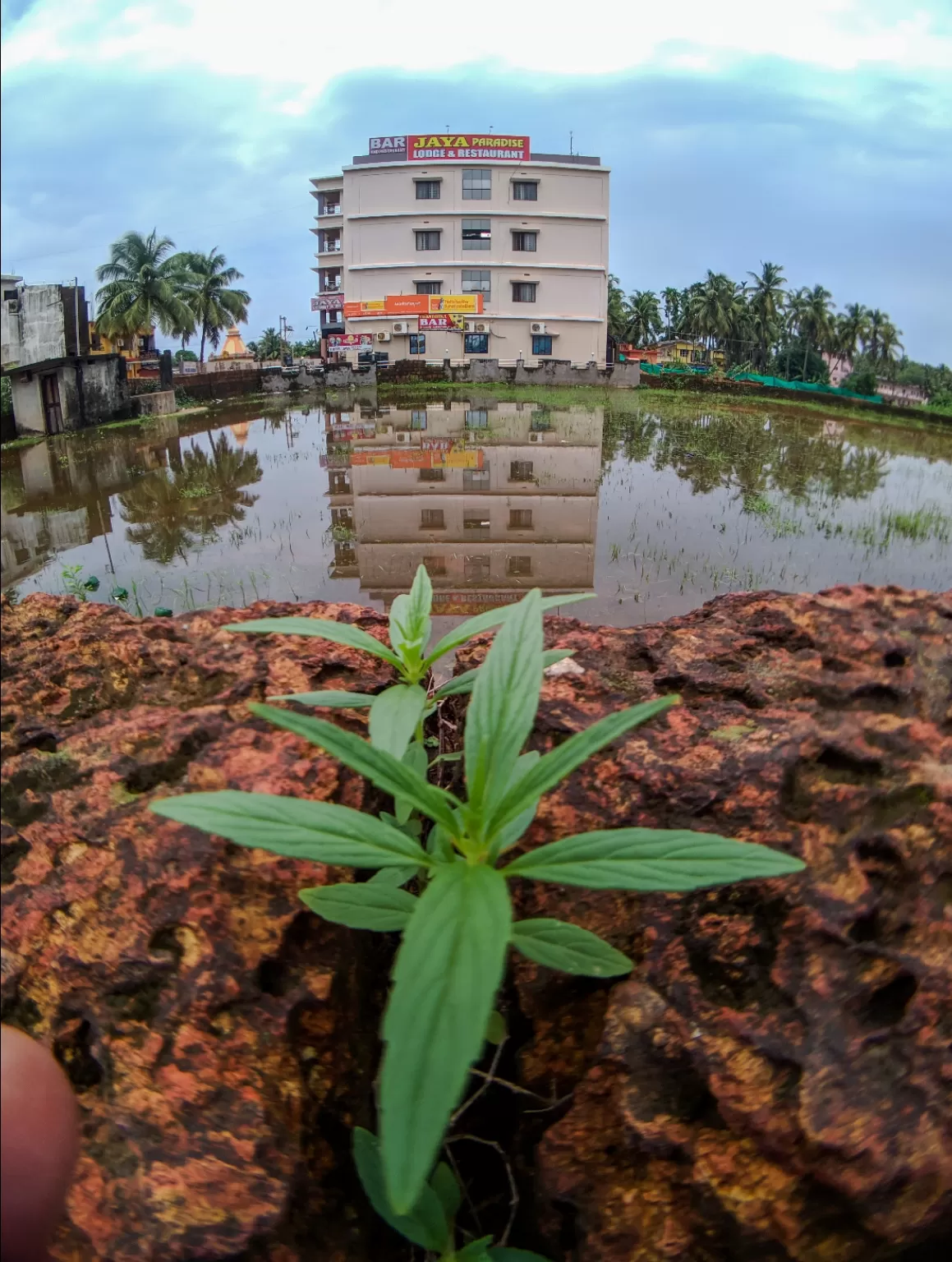 Photo of Murudeshwar Temple By Ashish