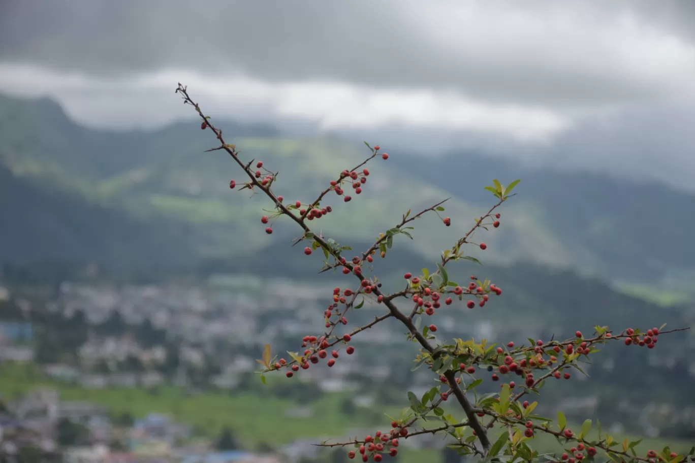 Photo of Pithoragarh By Omi Dafaali 