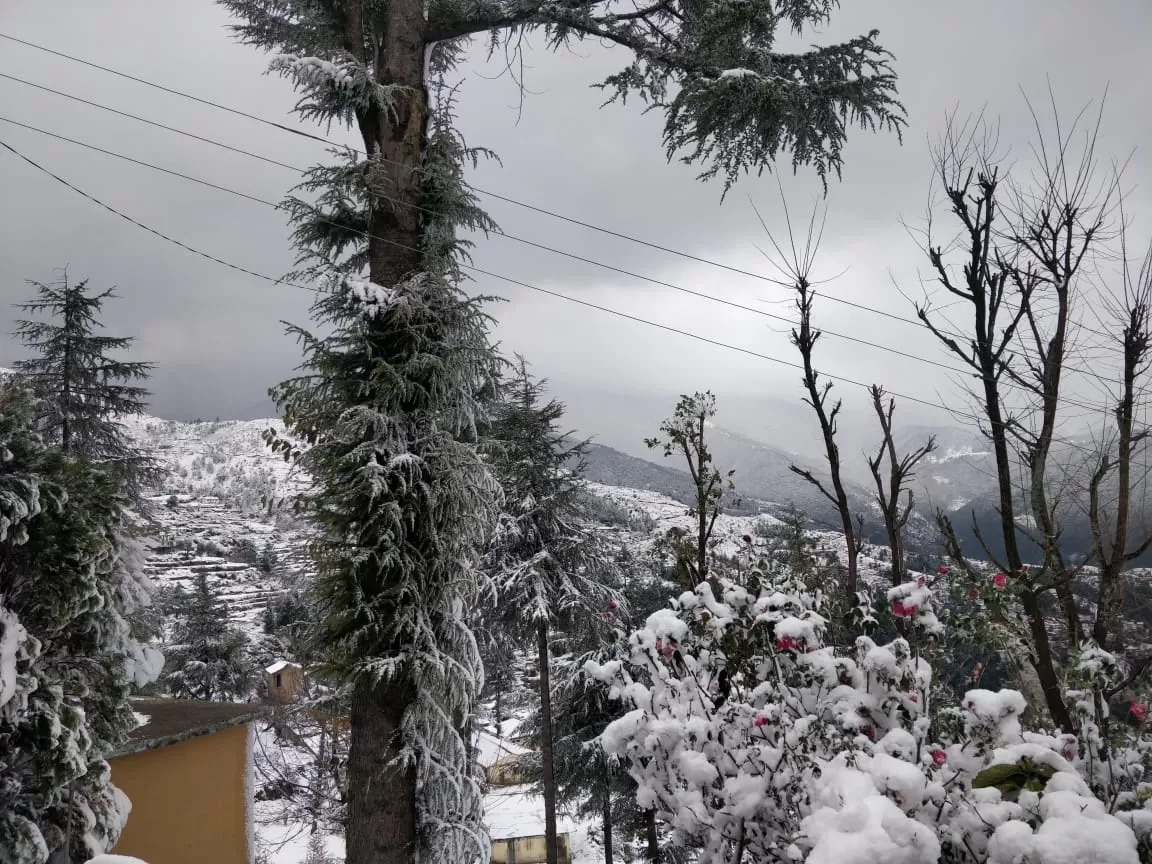 Photo of Shimla By dr aman