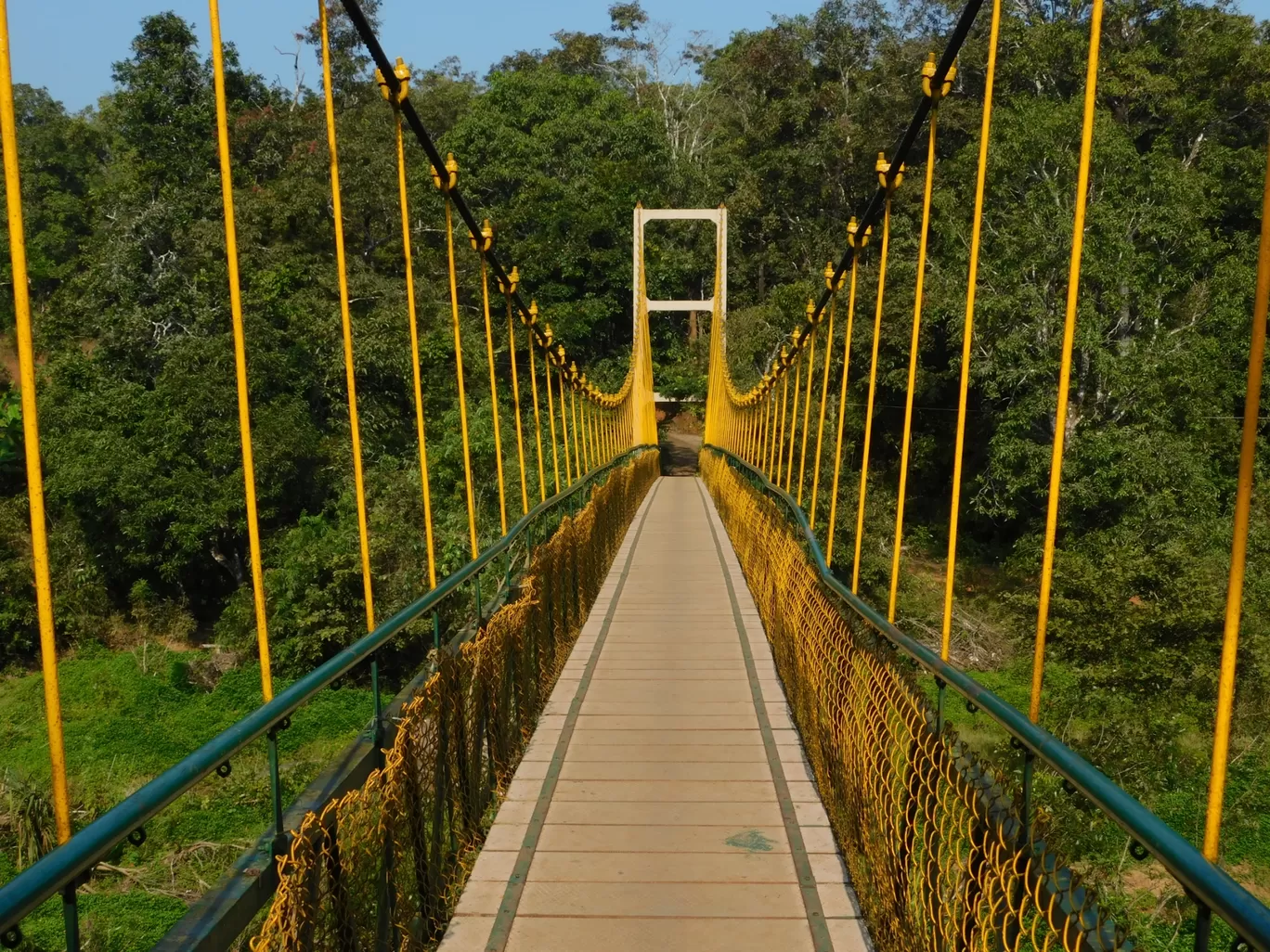 Photo of Sahasralinga By Nitesh Tripathi