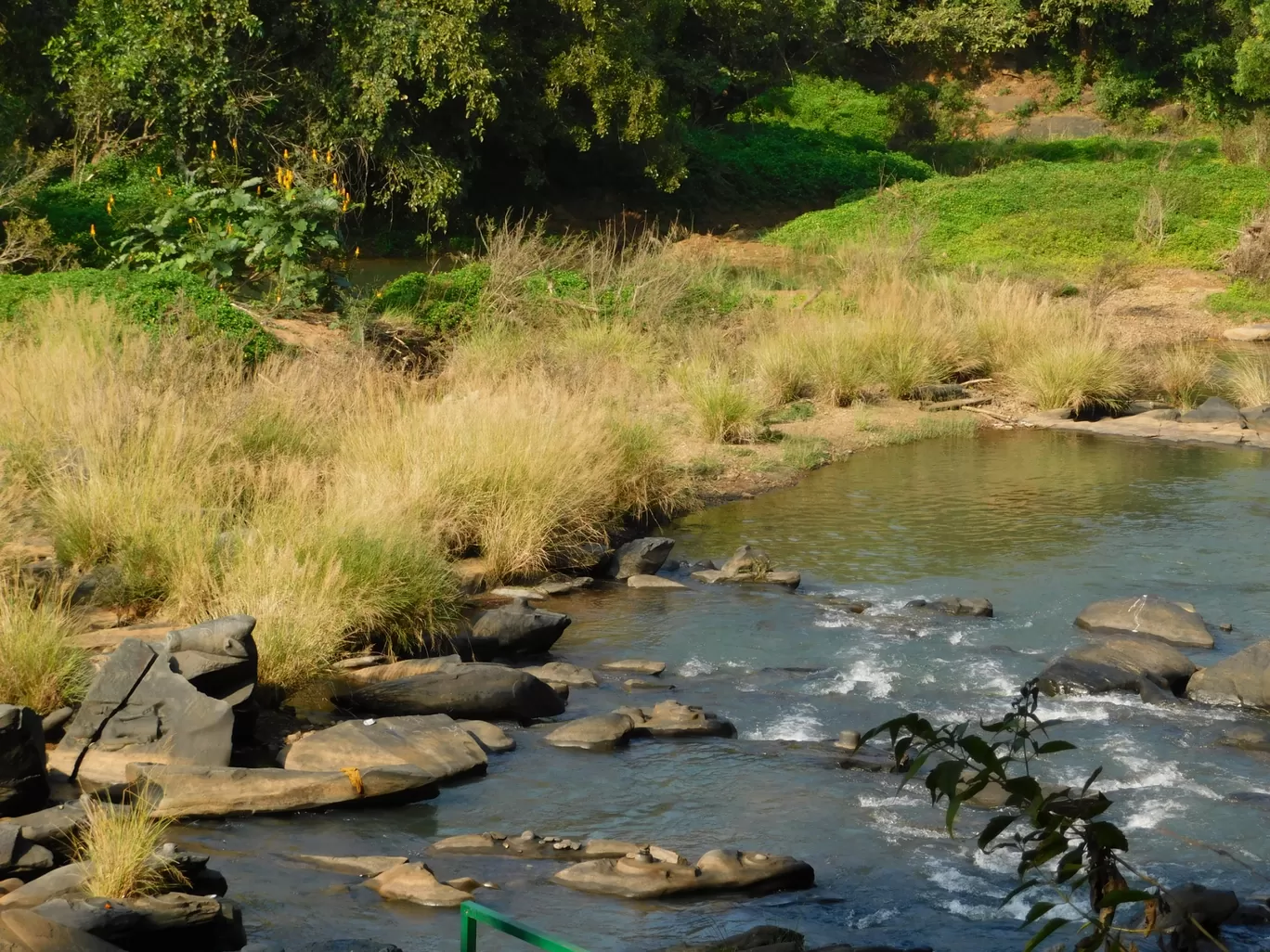 Photo of Sahasralinga By Nitesh Tripathi
