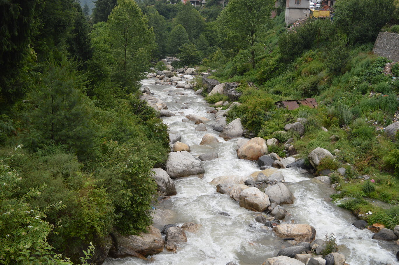 Photo of The love for mountains By Nitika Nathani