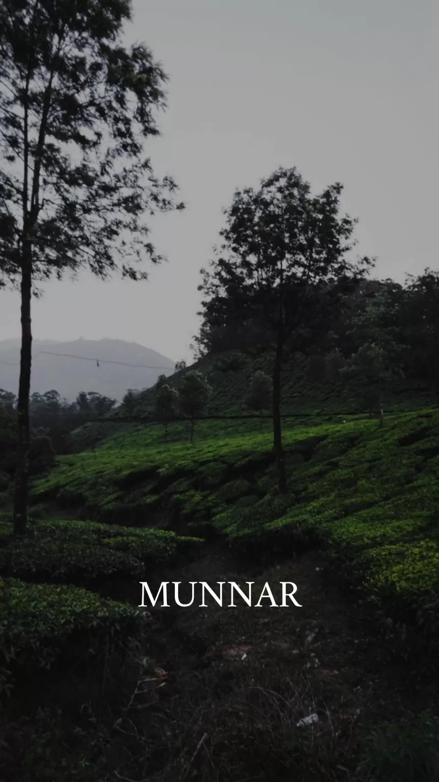 Photo of Munnar By Tushar Varma