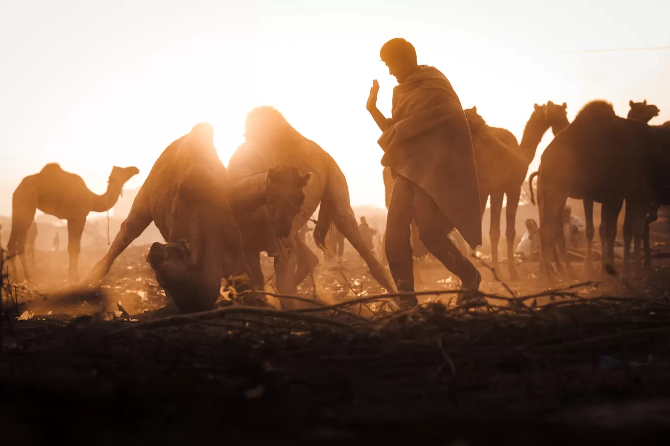 Photo of Pushkar By Sanket Urane