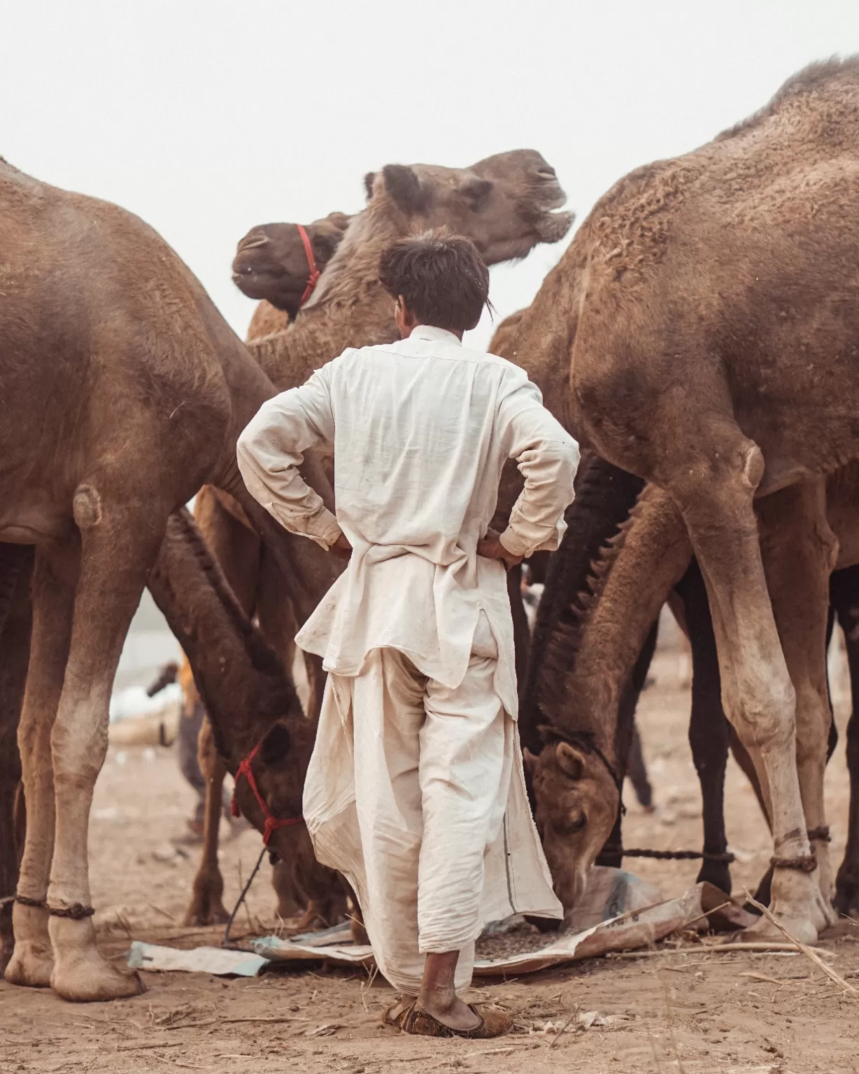 Photo of Pushkar By Sanket Urane