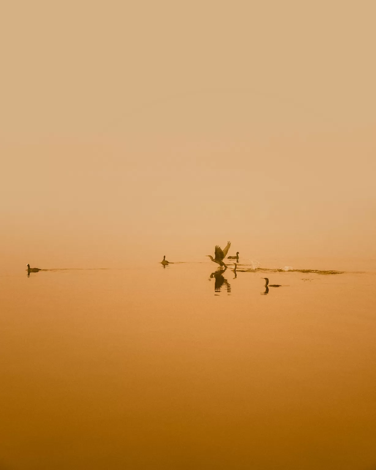 Photo of Rankala Lake By Sanket Urane