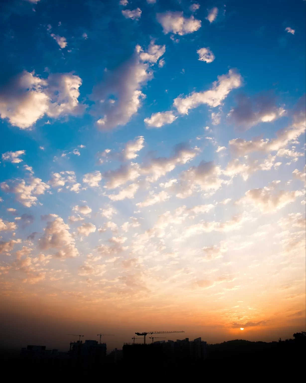 Photo of Pashan Hill Trail By Sanket Urane