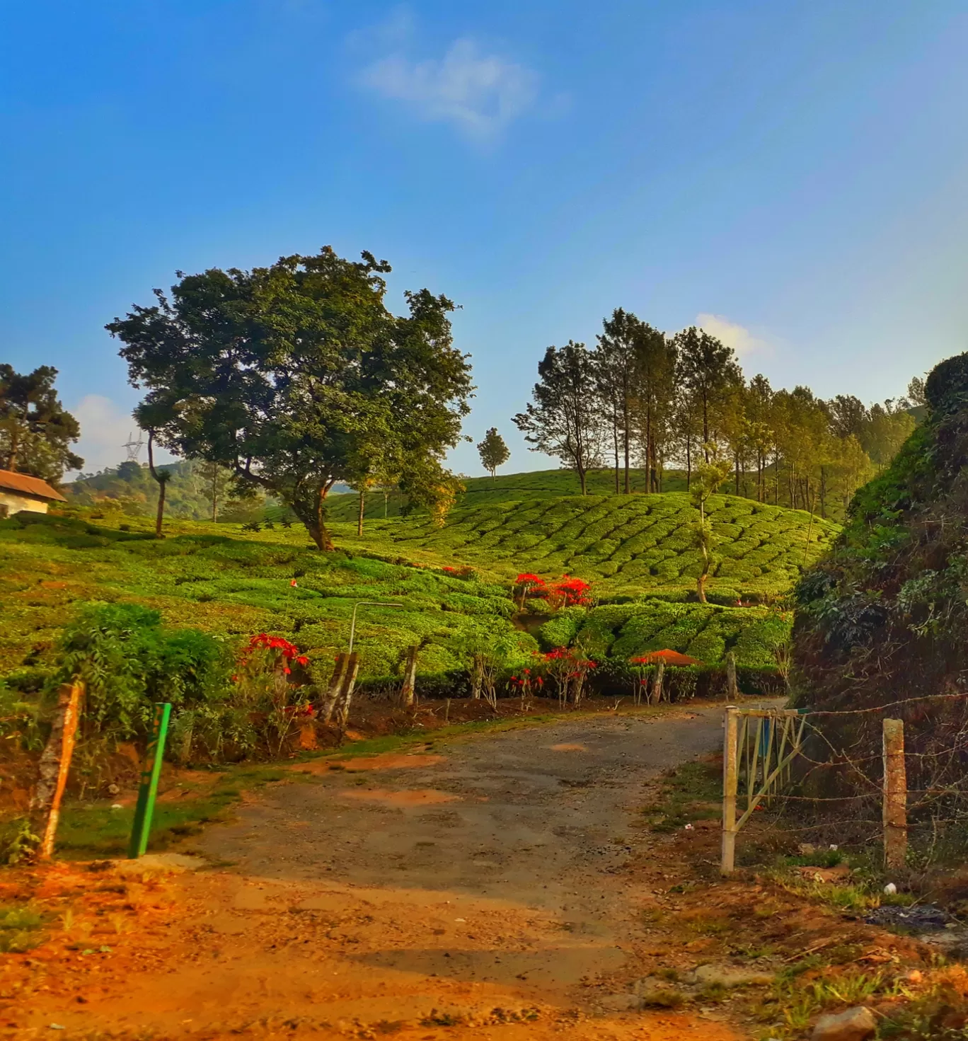 Photo of Munnar By Gypsysoul