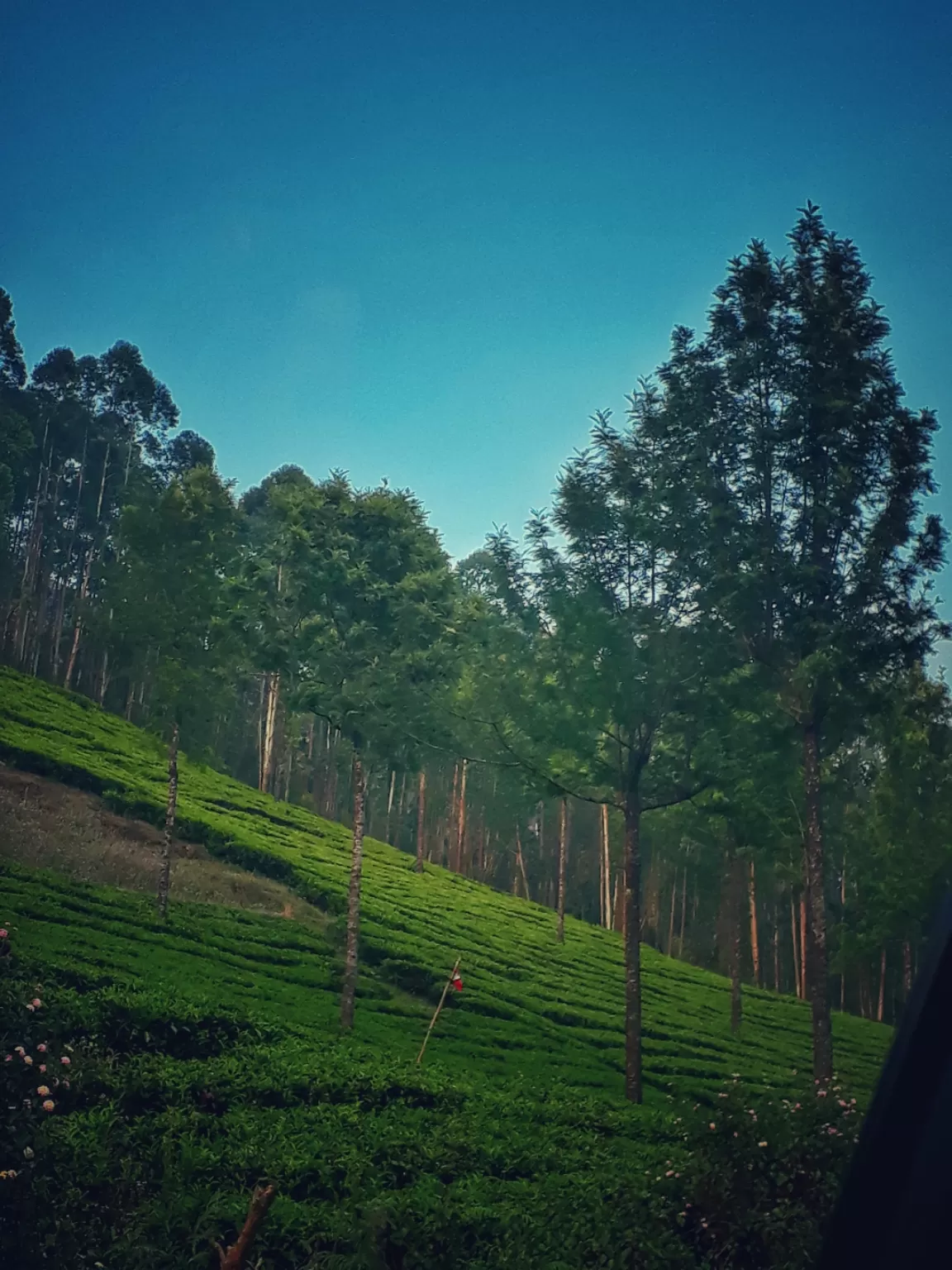 Photo of Munnar By Gypsysoul