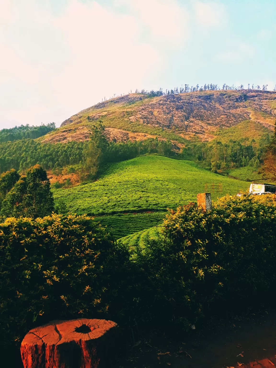 Photo of Munnar By Gypsysoul