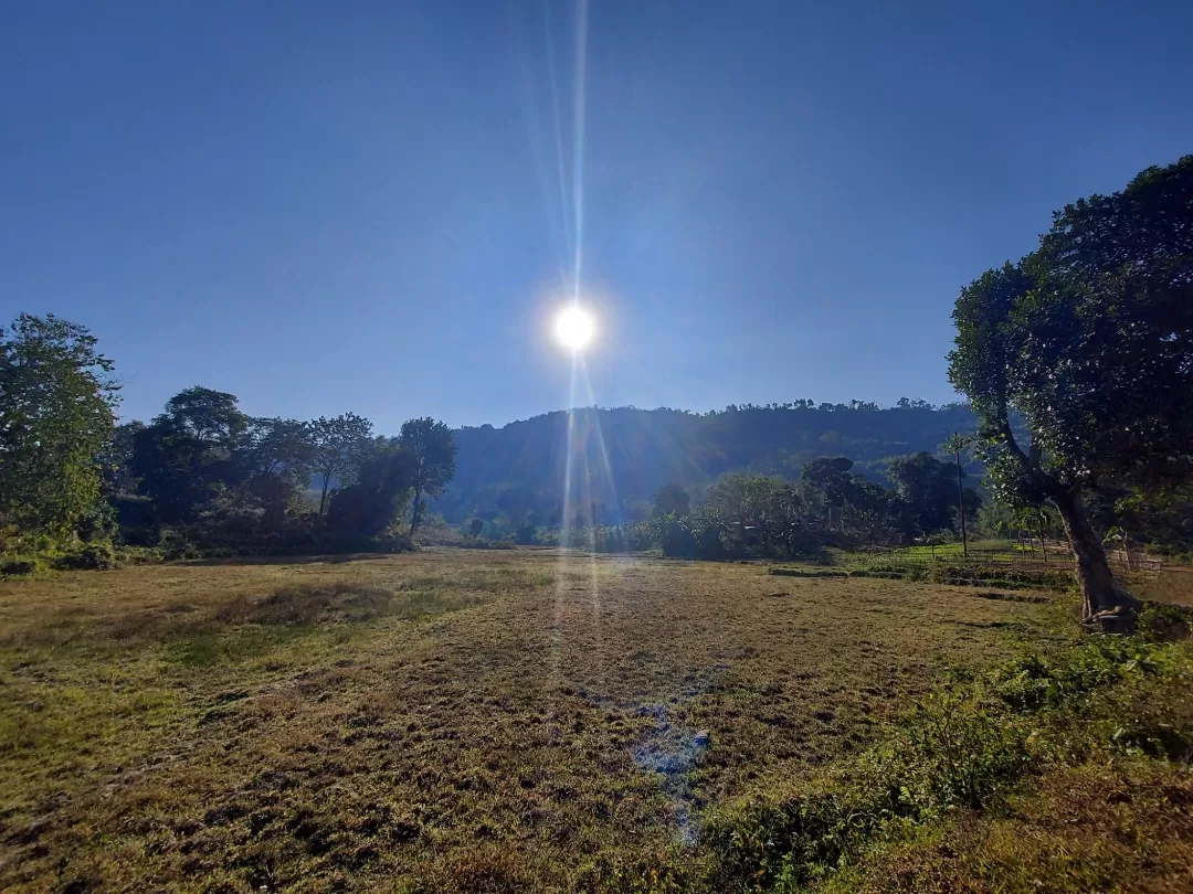 Photo of Kohora By Bhargavee Rava