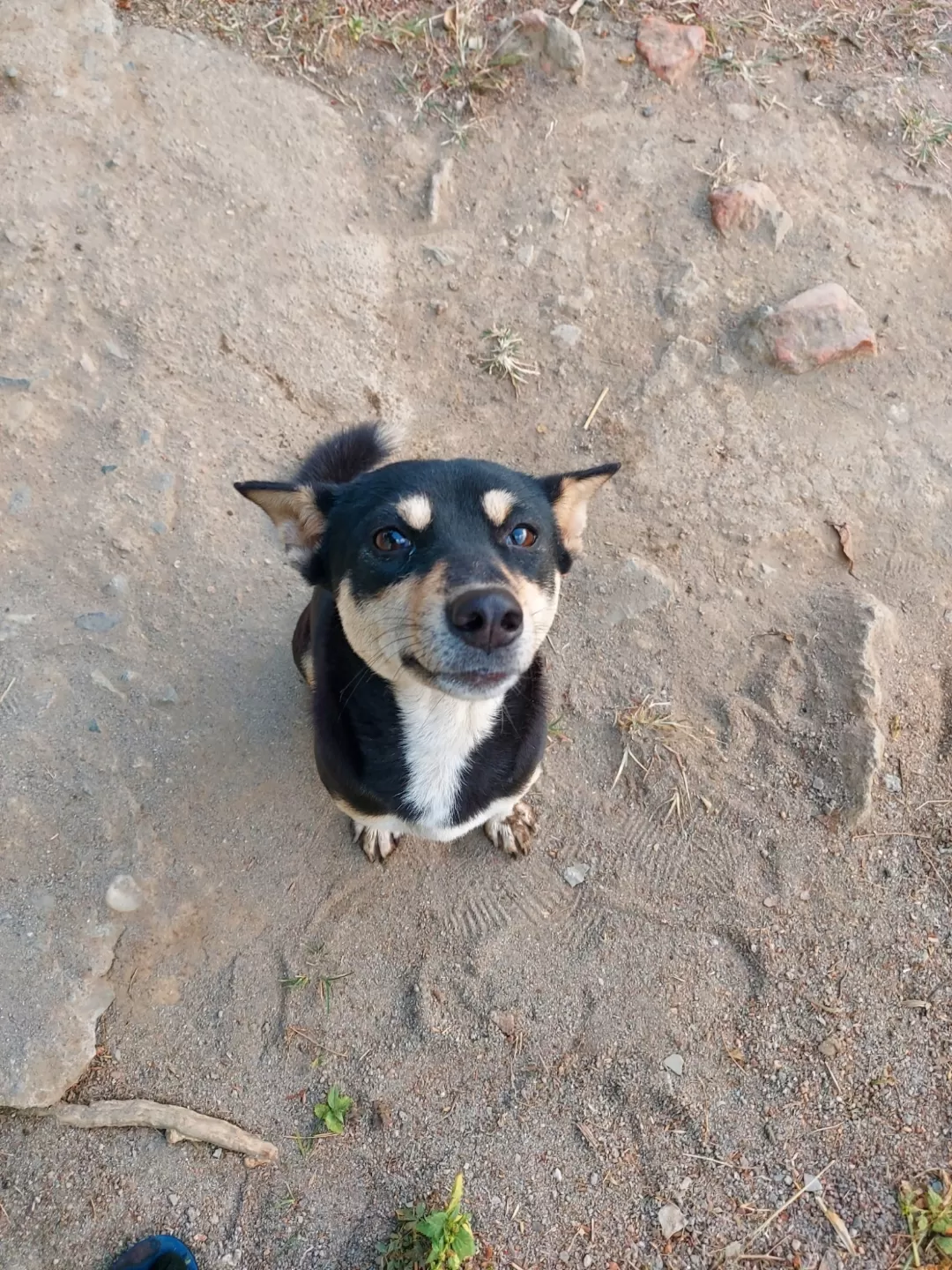 Photo of Kohora By Bhargavee Rava