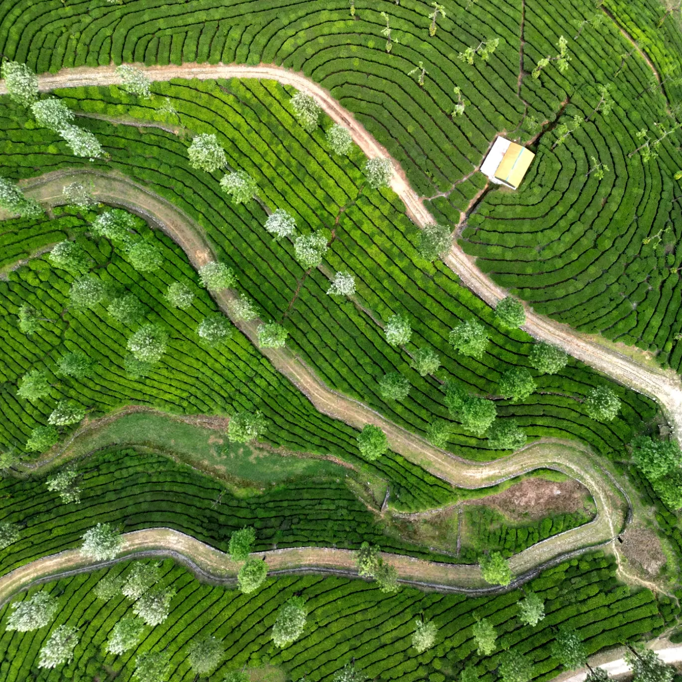 Photo of Valparai By Prashant Bhat