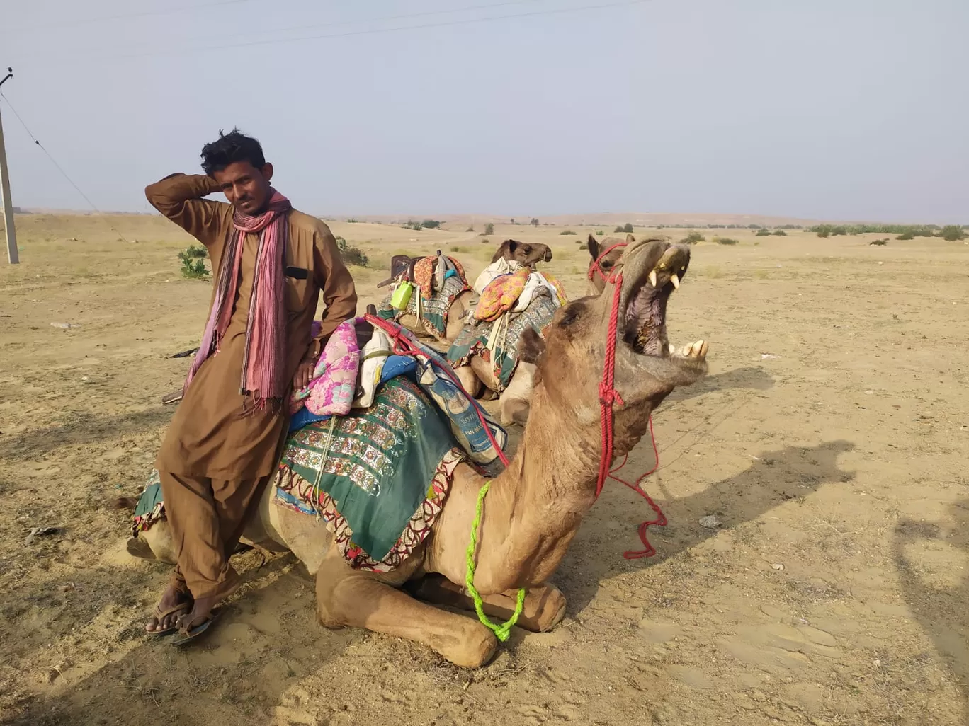 Photo of Rajasthan By lavanay Gupta