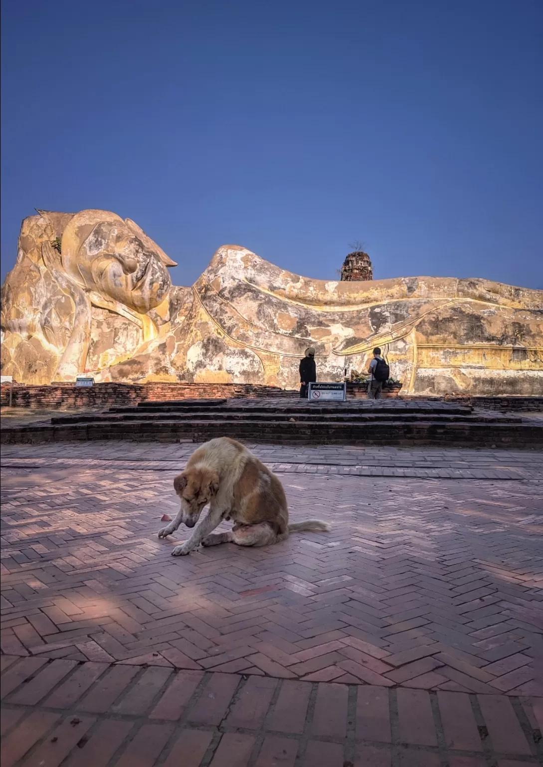 Photo of Ayutthaya Historical Park By Namrata Vedi