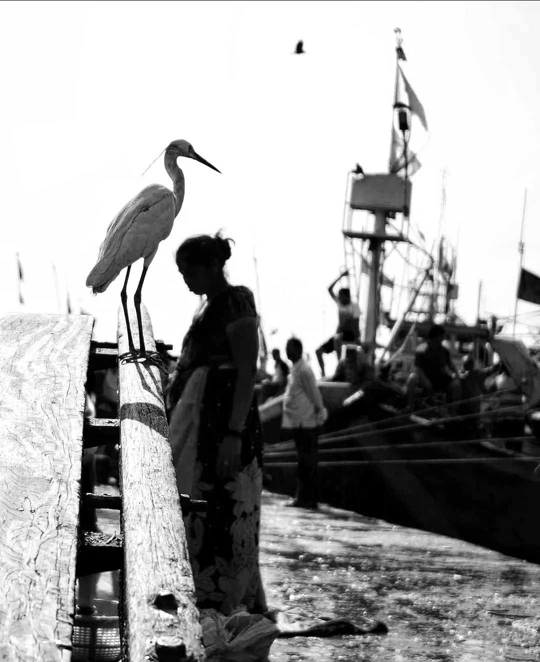 Photo of Sassoon Dock Local Fish Market By Namrata Vedi