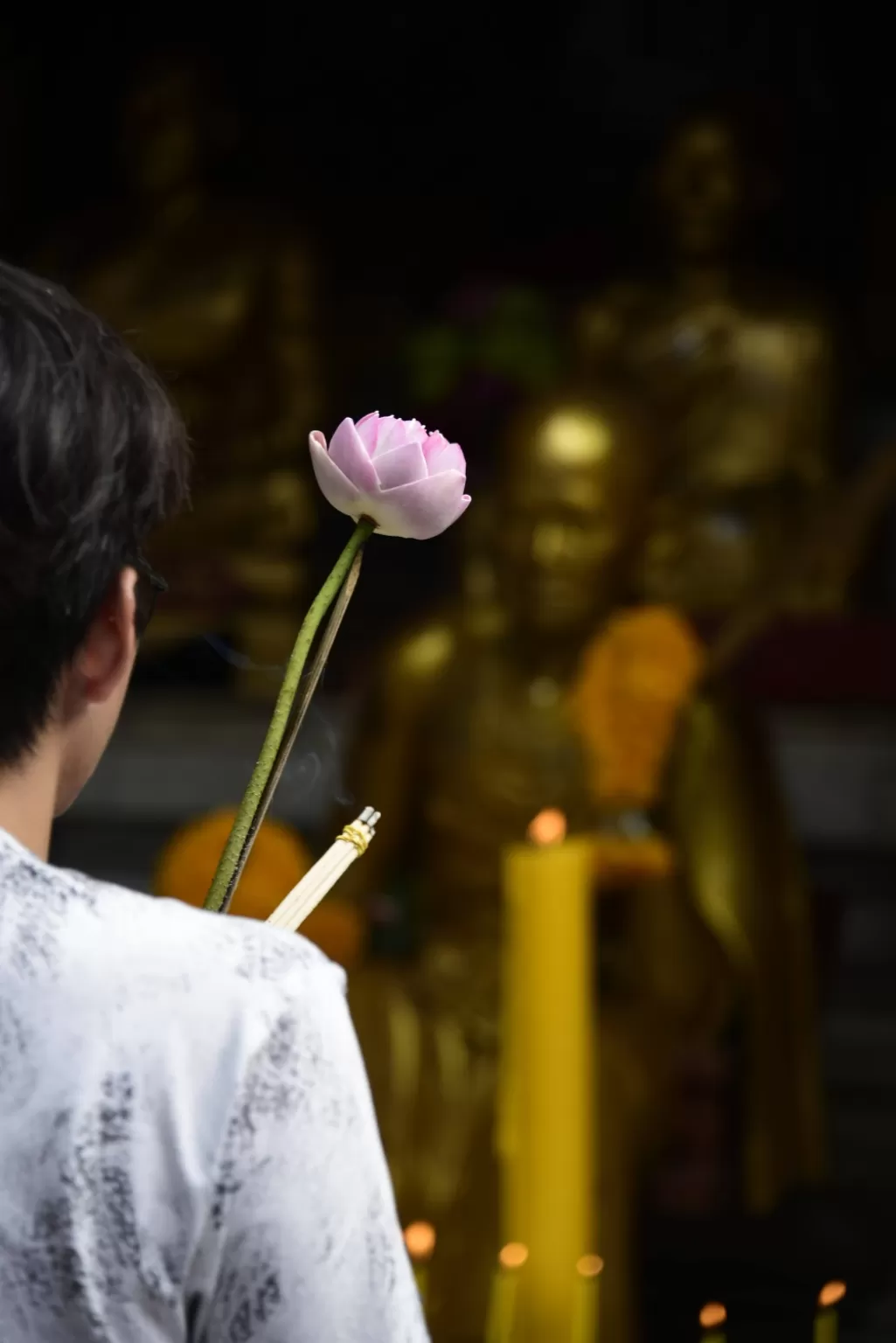 Photo of Doi Suthep By Namrata Vedi