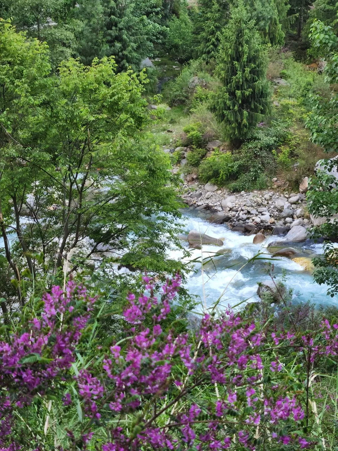 Photo of Old Manali By Minal panta