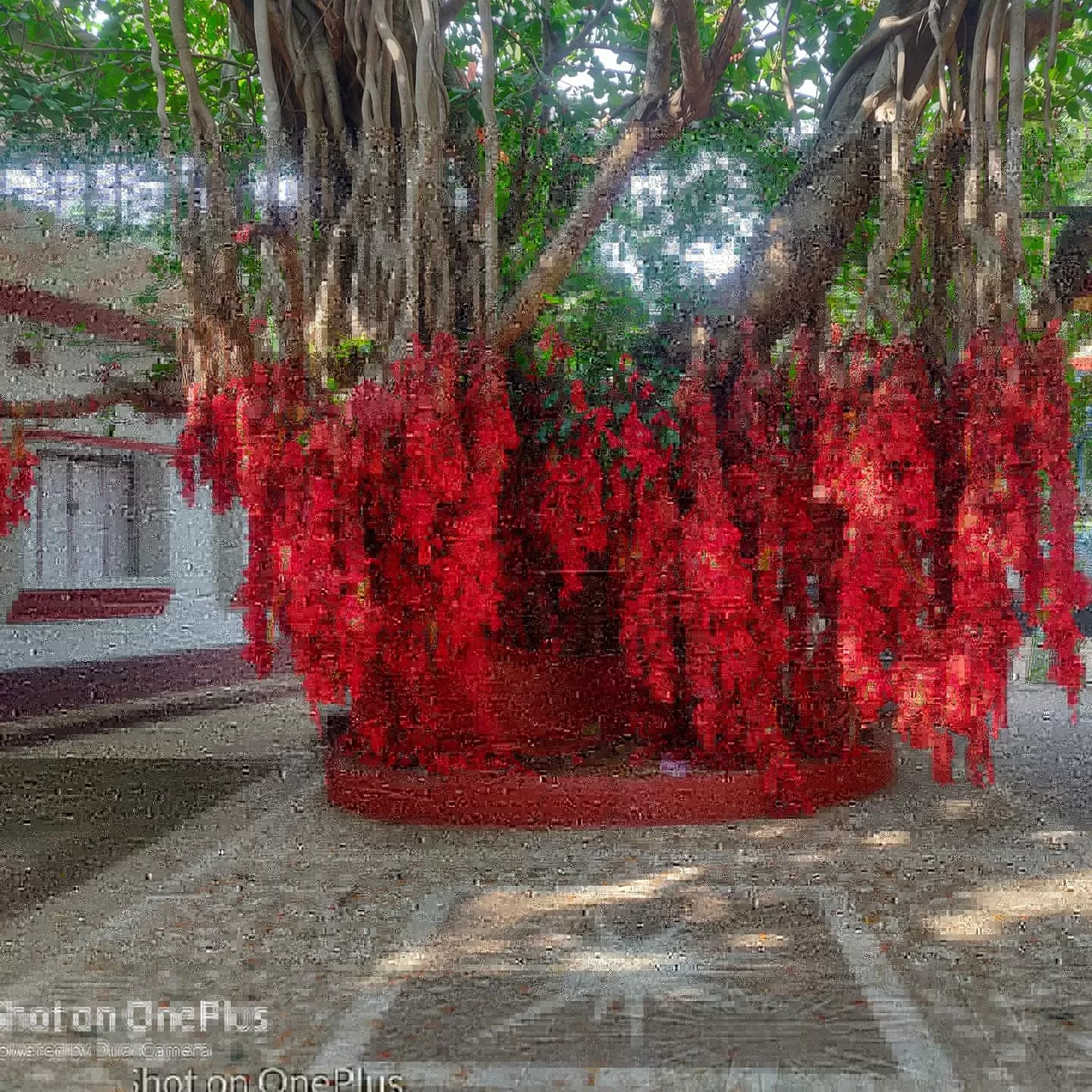 Photo of Sri Dattatreya Sai Ashram Trust By Asha Jyoti