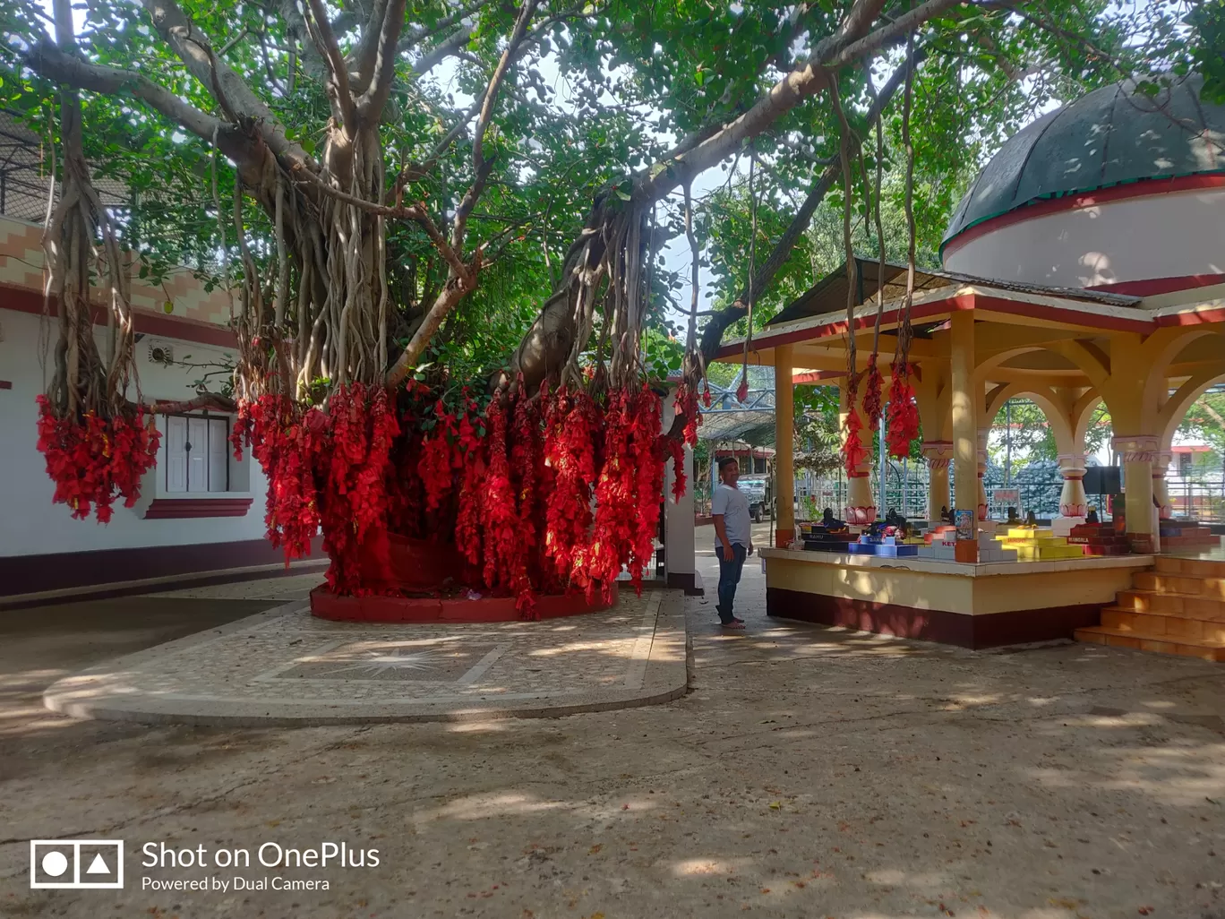 Photo of Sri Dattatreya Sai Ashram Trust By Asha Jyoti