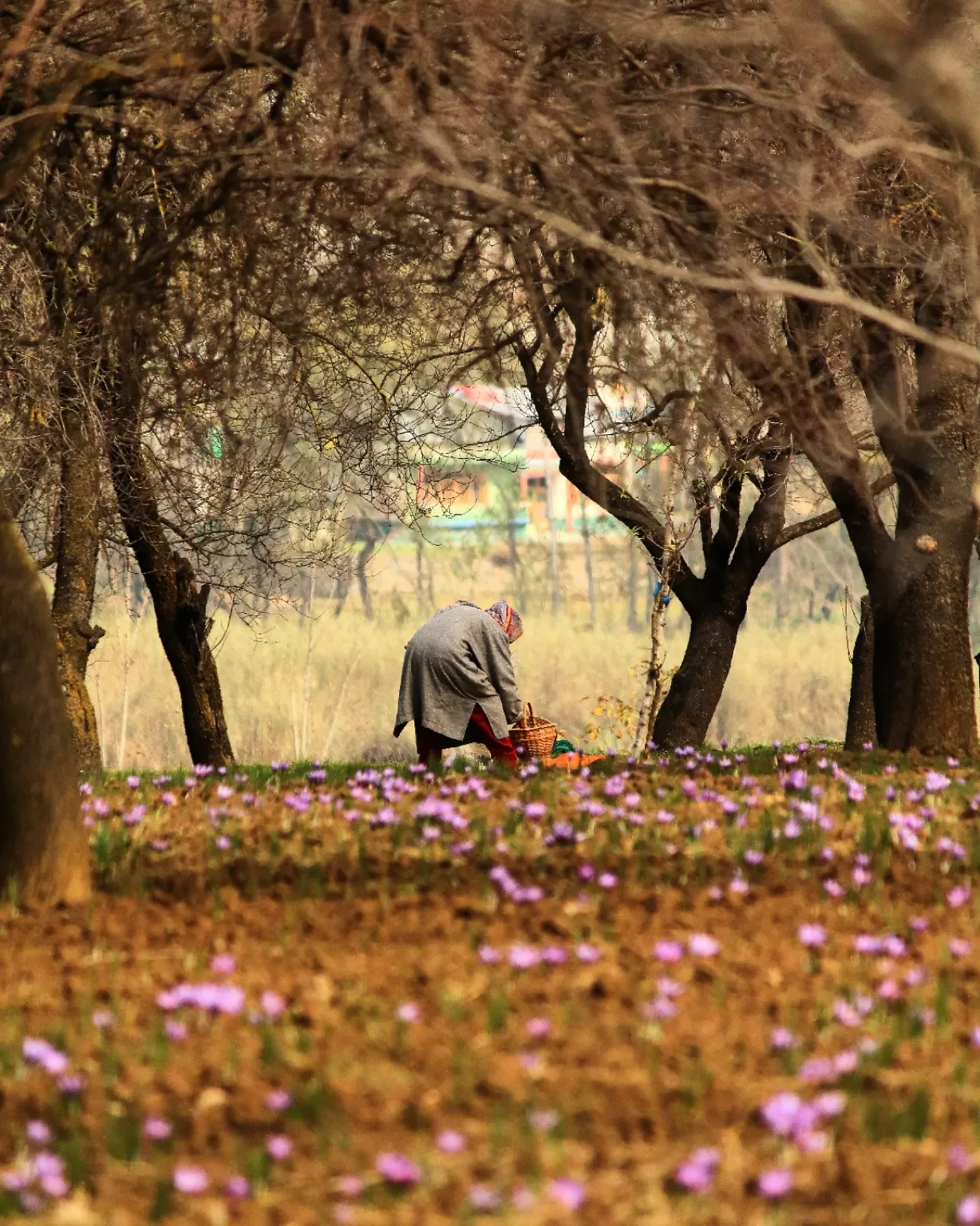 Photo of Jammu and Kashmir By Malik Mehrooz