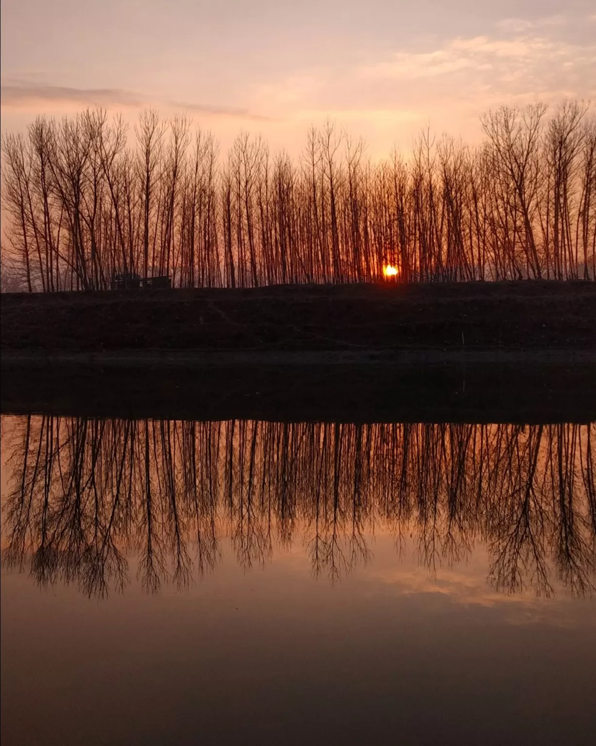 Photo of Srinagar By Malik Mehrooz