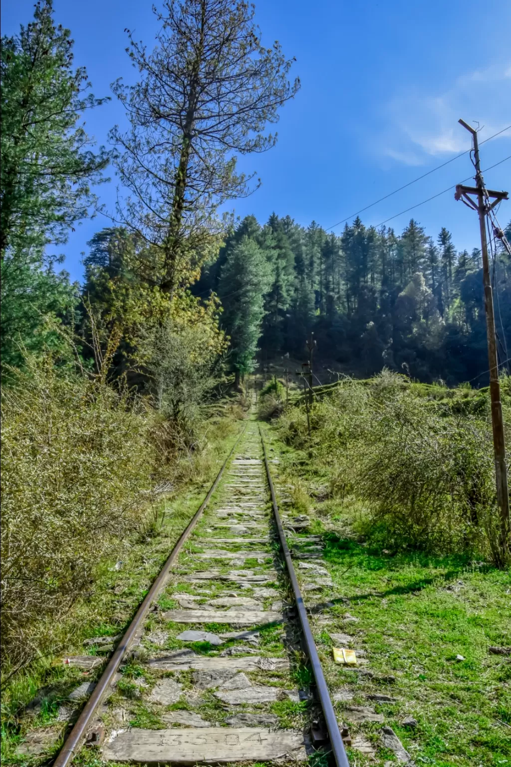 Photo of Barot Valley By Nabarun Hazarika