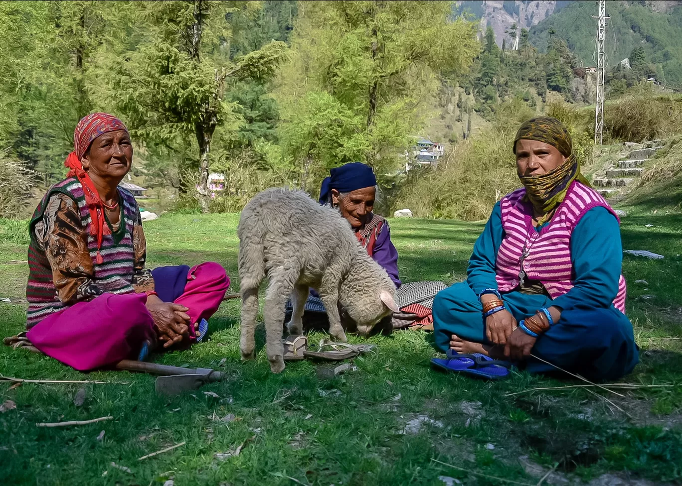 Photo of Barot Valley By Nabarun Hazarika