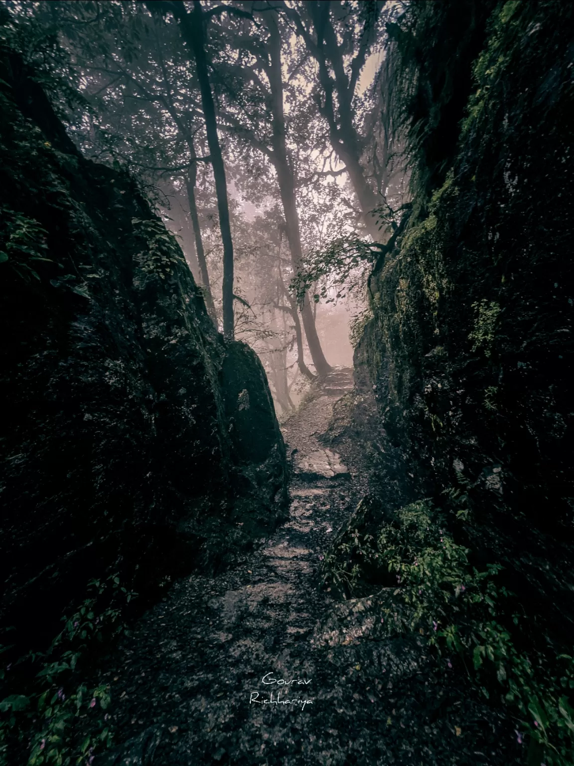 Photo of Jalori Pass By Gourav Richhariya