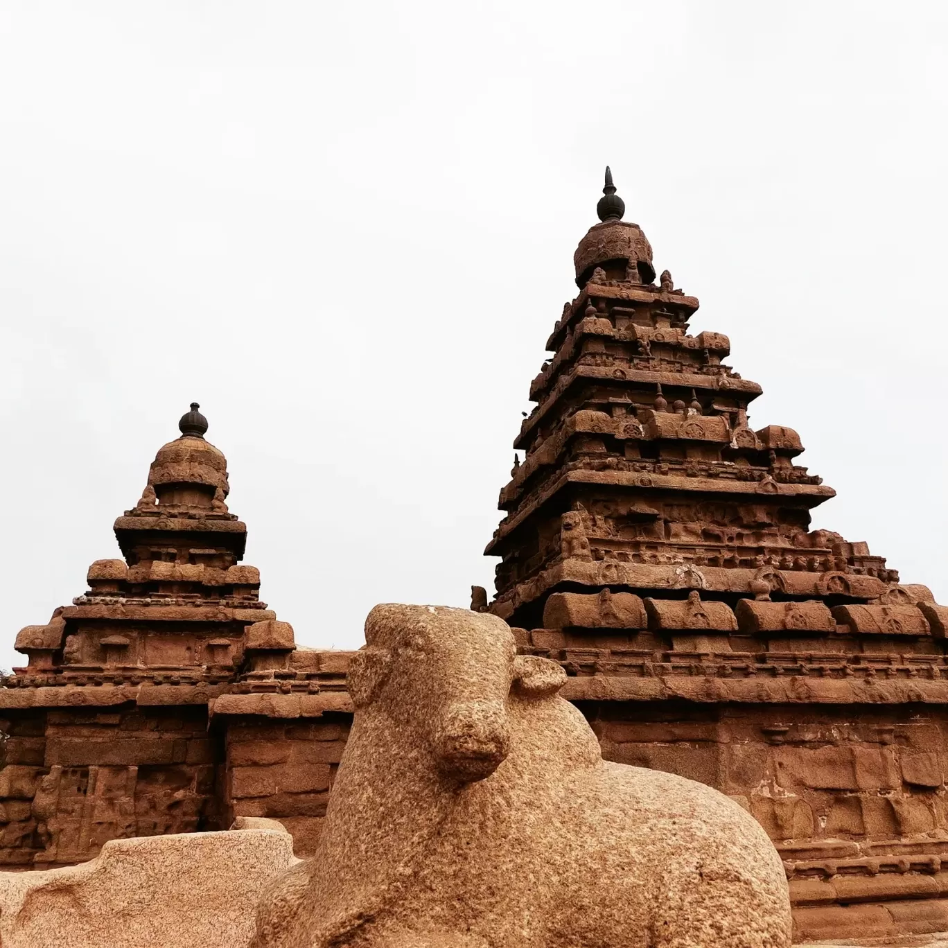 Photo of Shore Temple By Ravindra Vasireddy