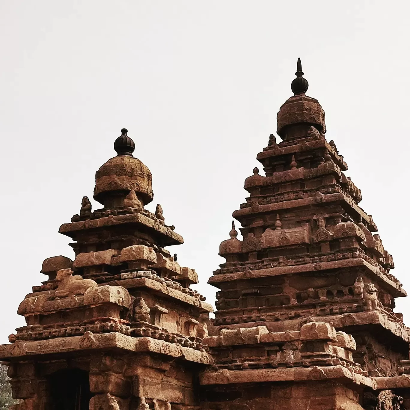 Photo of Shore Temple By Ravindra Vasireddy