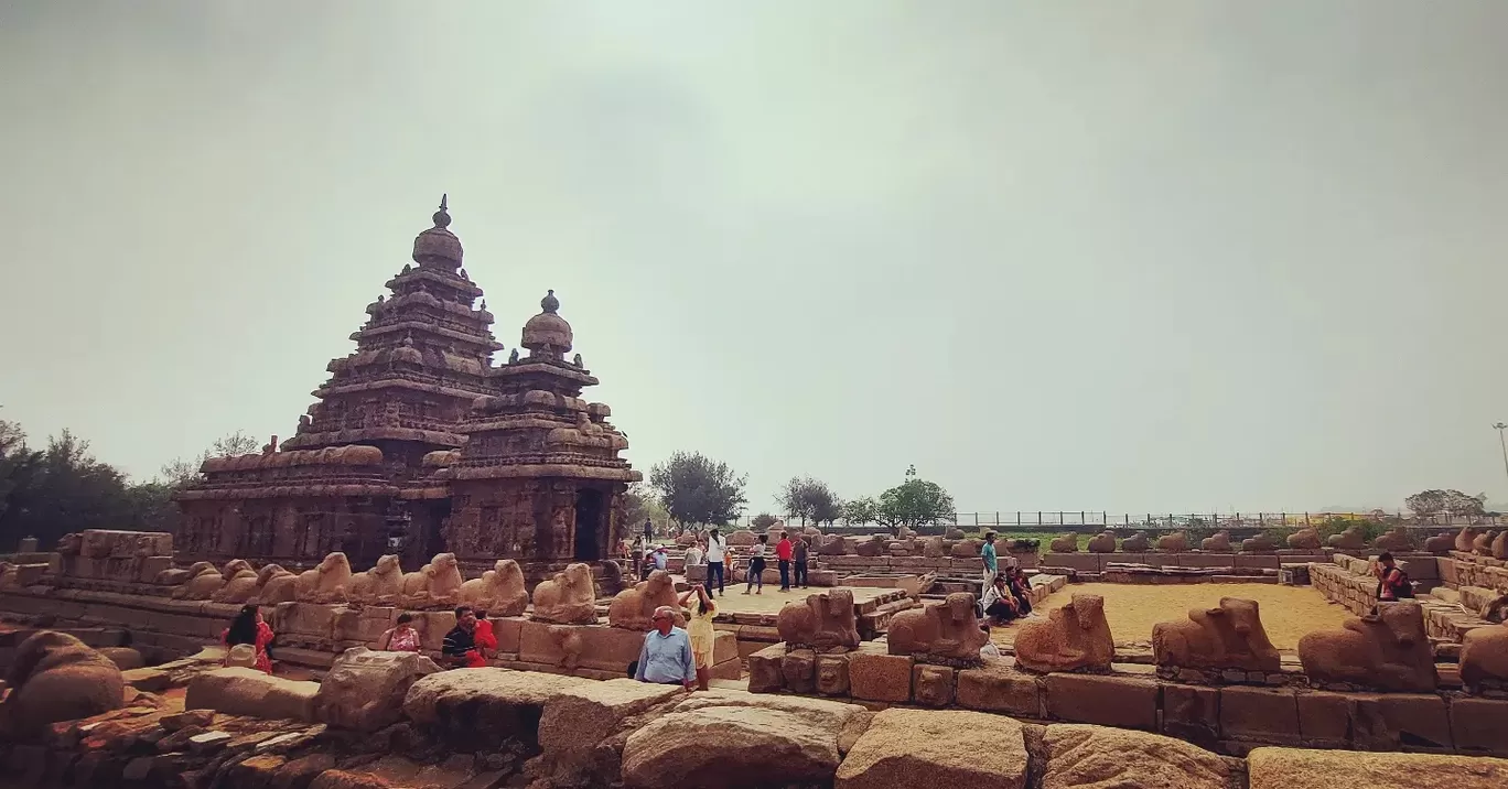 Photo of Shore Temple By Ravindra Vasireddy