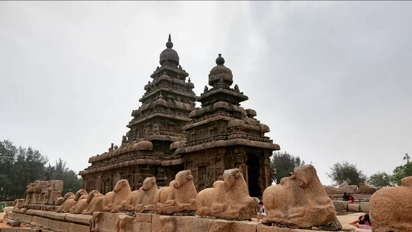 Photo of Shore Temple By Ravindra Vasireddy